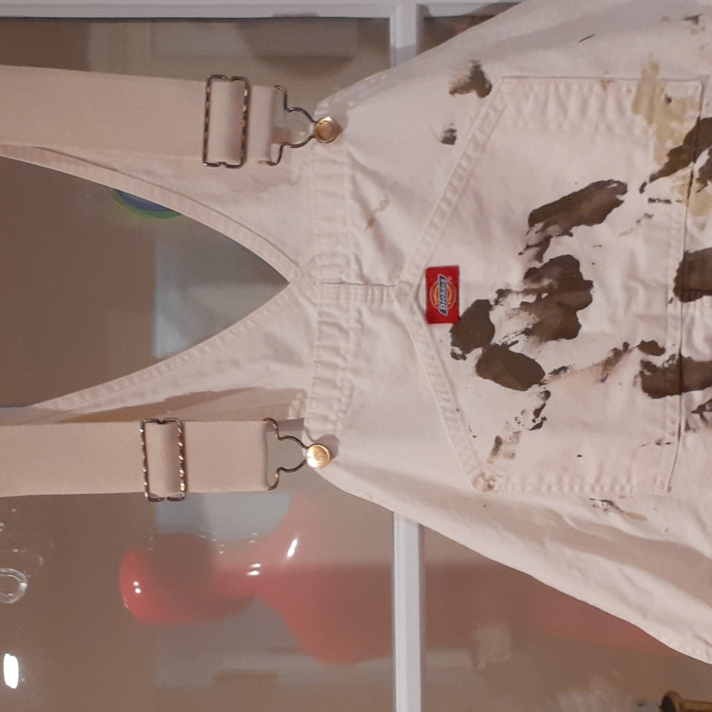 Dixie Splattered Overalls - image 5